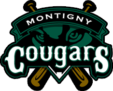 logo montigny